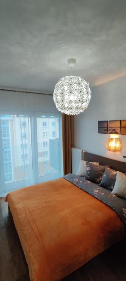 Zebra Apartment Wroclaw Exterior photo